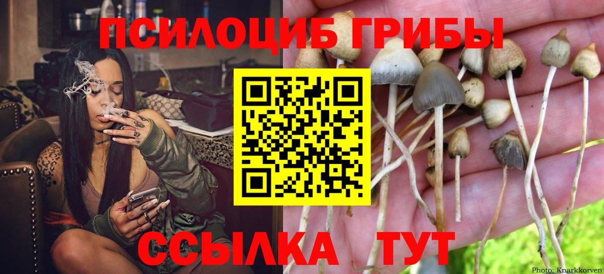 Псилоцибиновые грибы Magic Shrooms Полевской