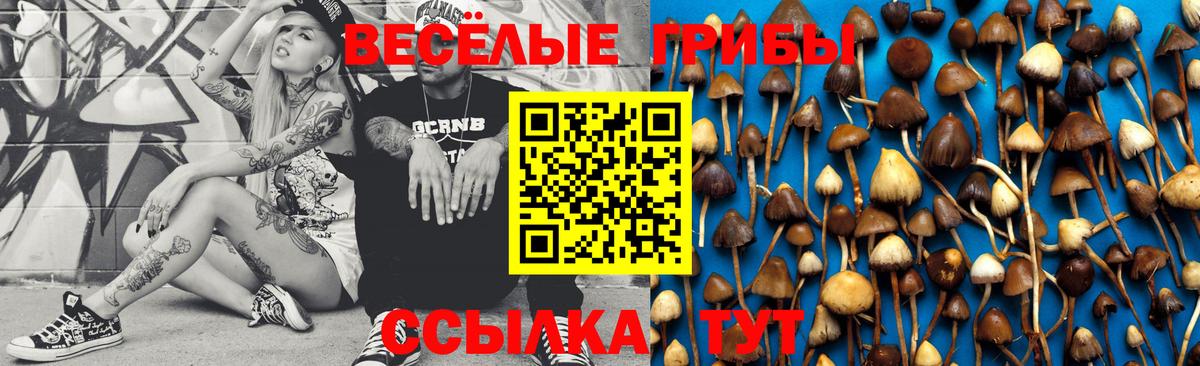 Псилоцибиновые грибы GOLDEN TEACHER  Вход с VPN  Галлюциногенные грибы мухоморы  Полевской 